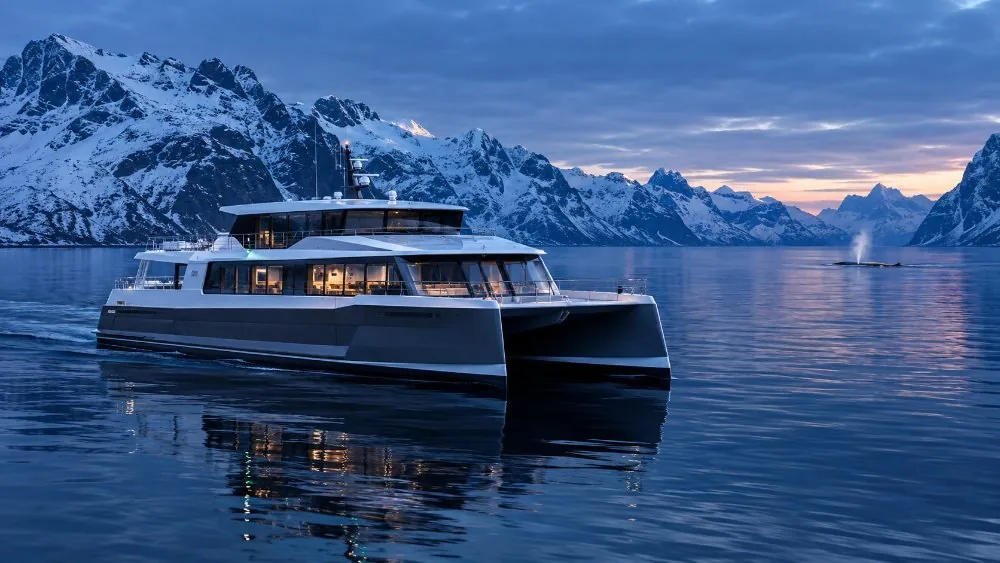 Troms&oslash;: Whale Watching Tour by Hybrid-Electric Boat
